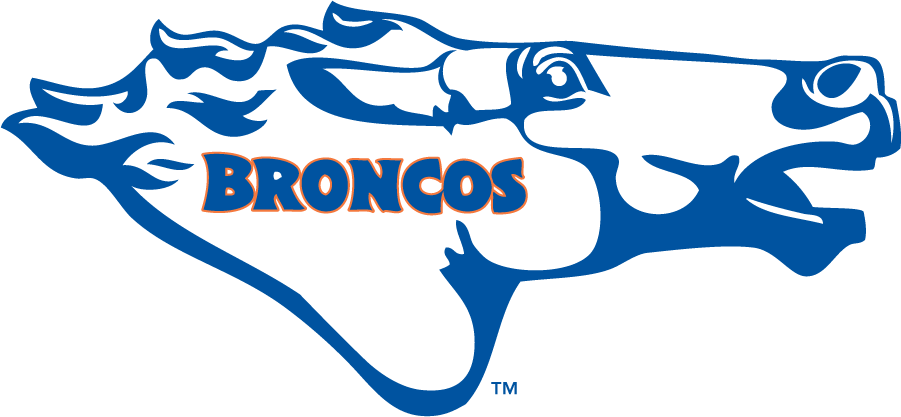 Boise State Broncos 1976-1980 Secondary Logo t shirts iron on transfers